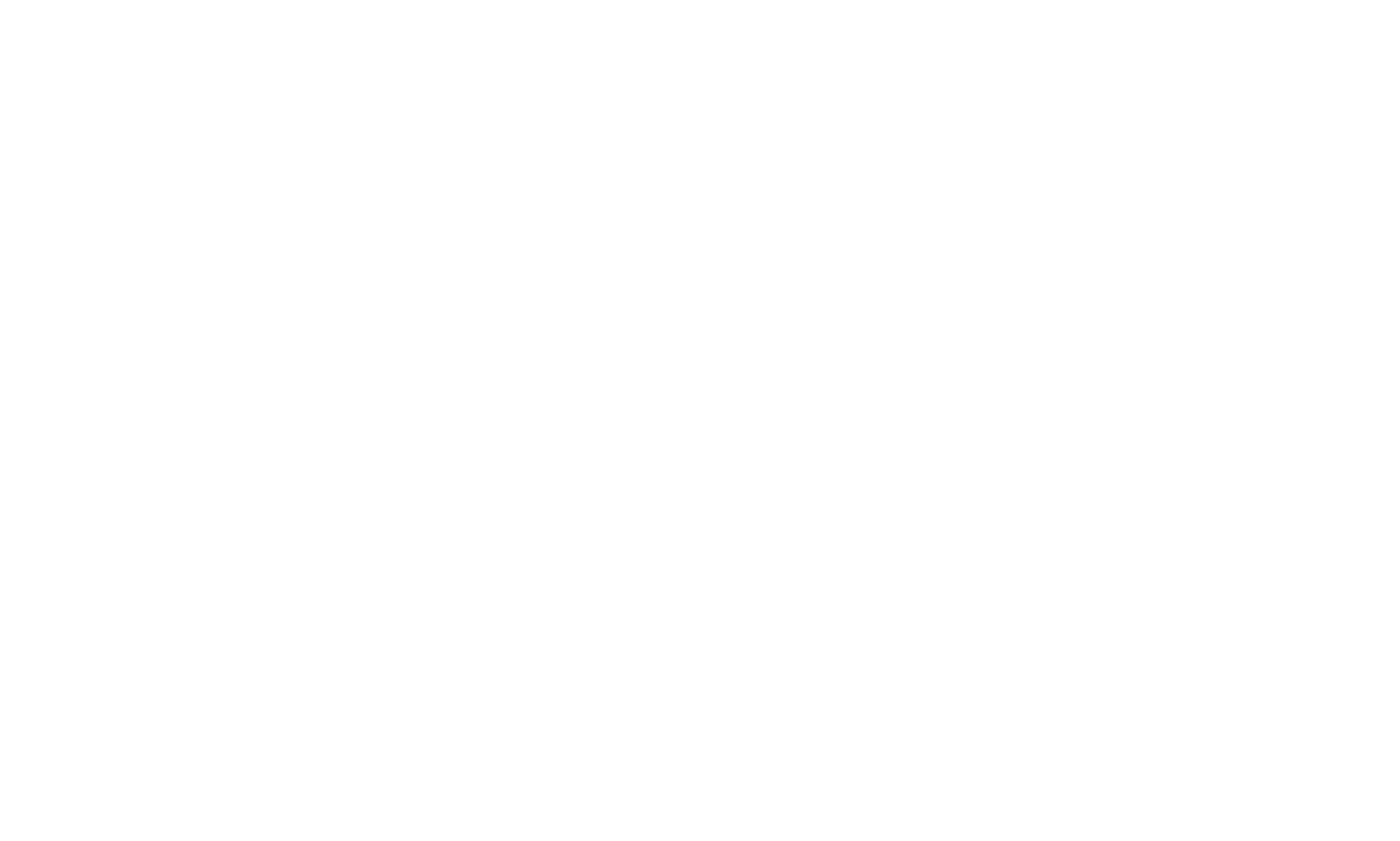 White Lion Labs 